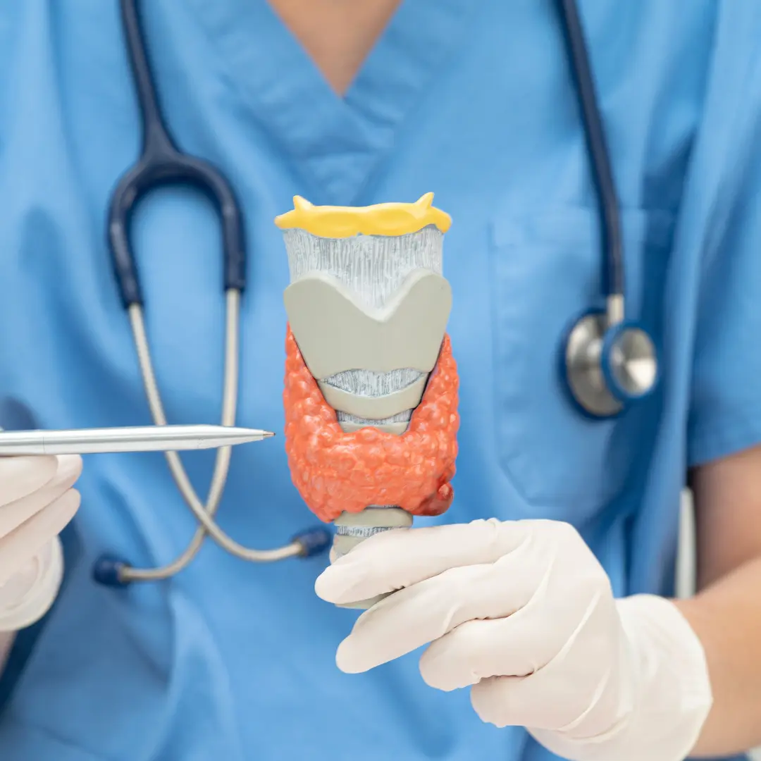 Ендокринологія